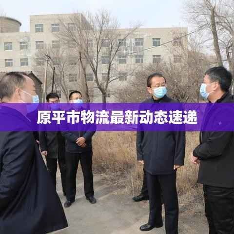 原平市物流最新动态速递