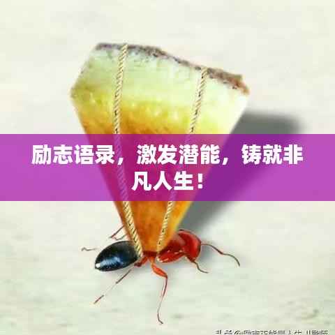 励志语录,激发潜能,铸就非凡人生!