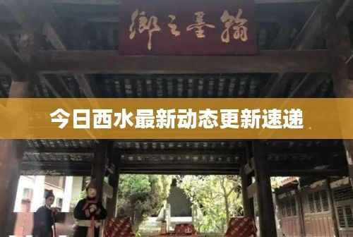 今日西水最新动态更新速递