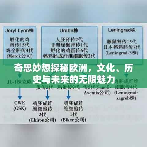 奇思妙想探秘欧洲，文化、历史与未来的无限魅力