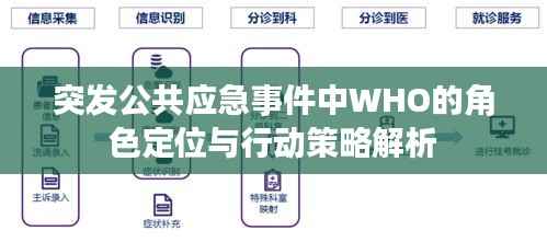 突发公共应急事件中WHO的角色定位与行动策略解析