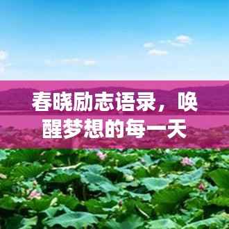 春晓励志语录,唤醒梦想的每一天