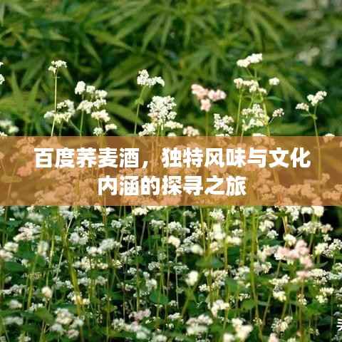 竭尽全力 第2页