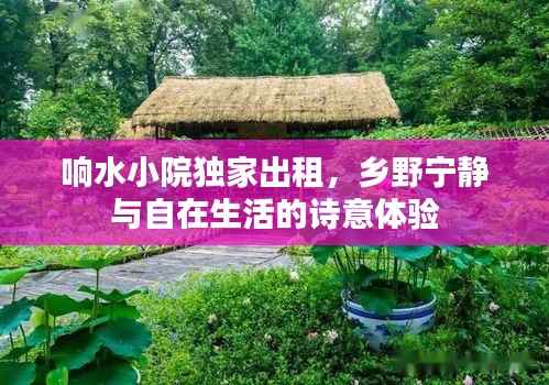 响水小院独家出租,乡野宁静与自在生活的诗意体验